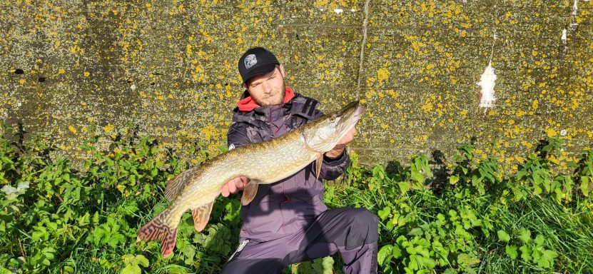 Junger Angler hält einen großen Hecht vor einer grünen Hintergrundlandschaft.