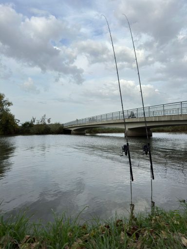 Zwei Angelruten stehen am Ufer eines ruhigen Flusses mit einer Brücke im Hintergrund.