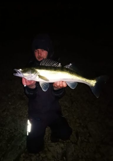 Angler in dunkler Kleidung hält einen großen Zander bei Nacht.