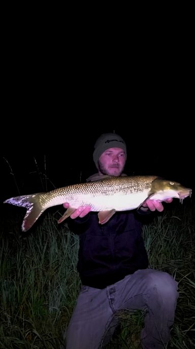 Mann hält einen großen Fisch in der Nacht, umgeben von Gras.