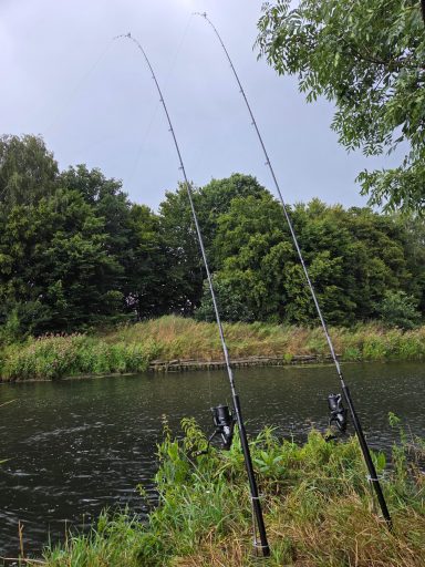 Zwei Angelruten stehen am Ufer eines Gewässers, umgeben von Bäumen und Grün.