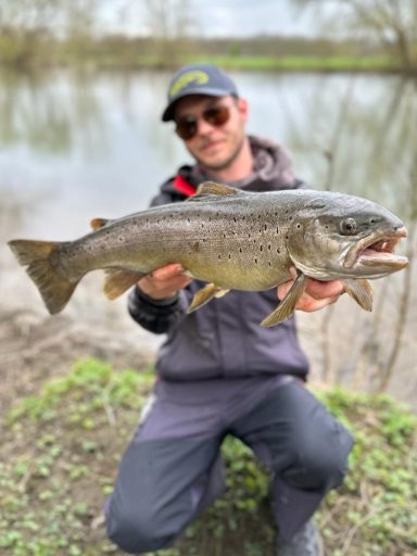 Mann hält eine große Forelle am Wasser, umgeben von grüner Natur.
