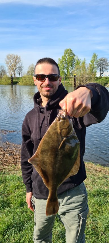 Mann hält einen platten Fisch am Ufer eines Gewässers bei sonnigem Wetter.