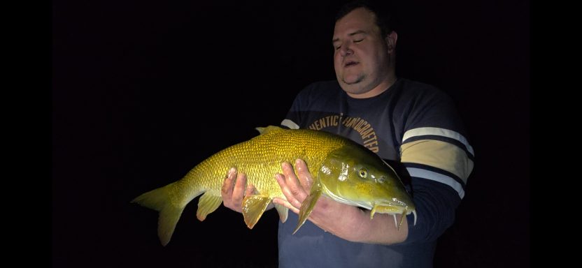 Mann hält einen großen, goldenen Fisch in dunkler Umgebung.
