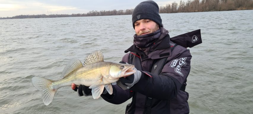 Mann im Winteroutfit hält einen großen Zander am Wasser.